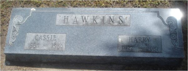 Harry Hawkins